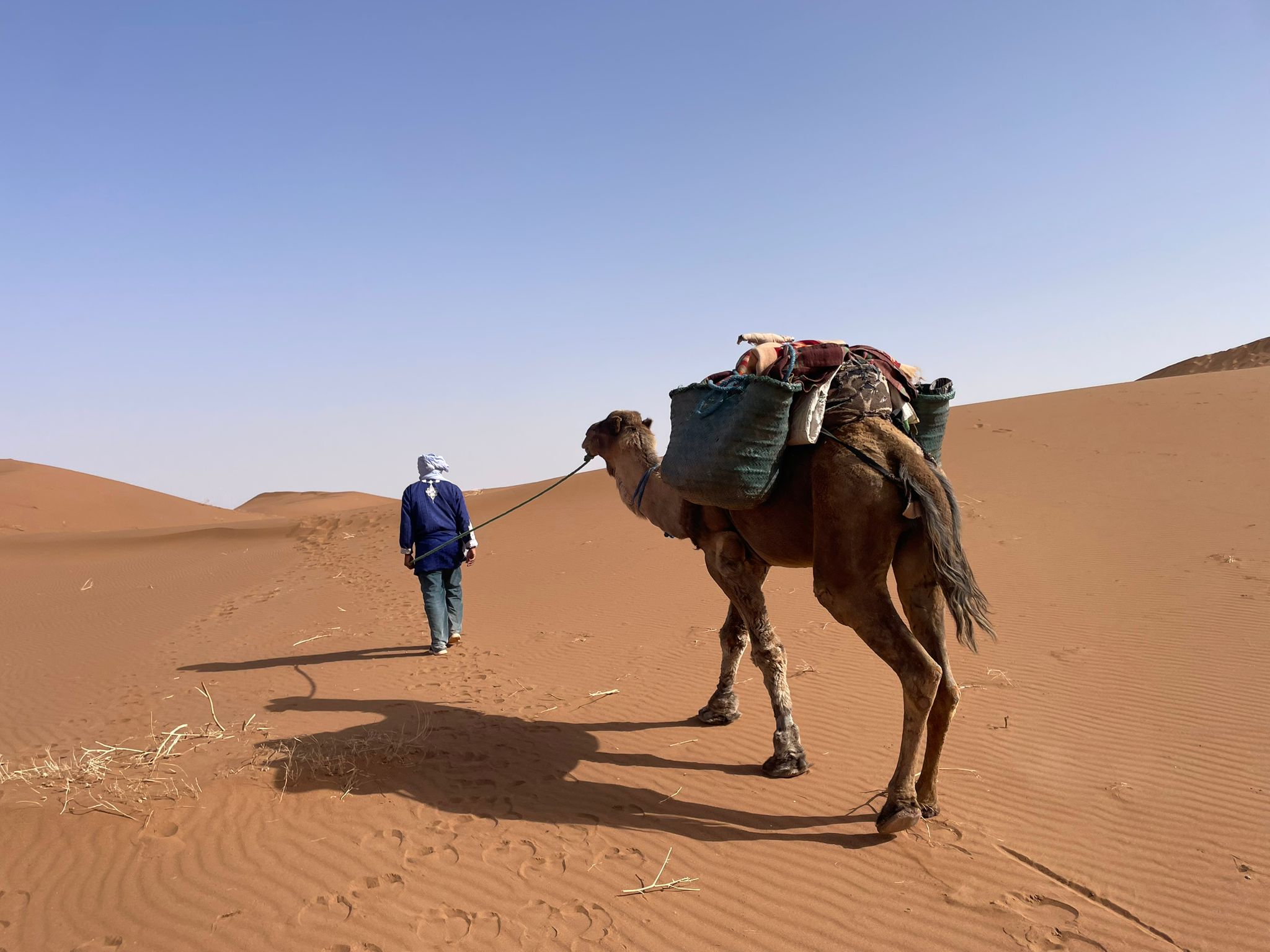 Trek chameau dans les dunes